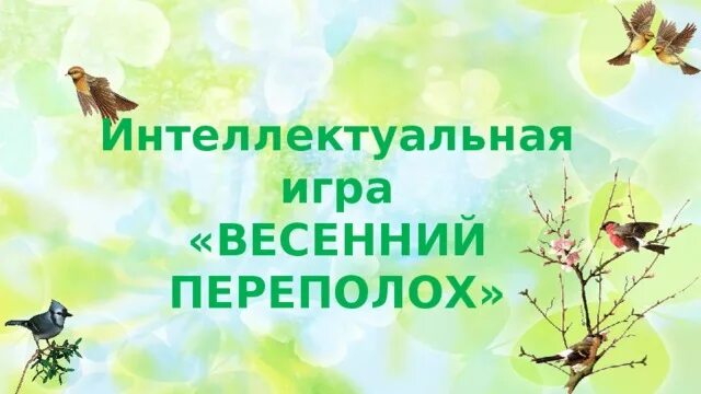 Игровая программа весенний переполох. Весенний переполох картинки. Презентация весенний переполох. Весенний переполох иллюстрации. Игровая программа весеннее настроение