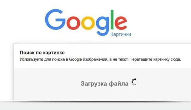 Найти по картинке. Поиск по картинке. Поисковик по картинкам. Гугл по картинке. Поиск изображения по картинке.