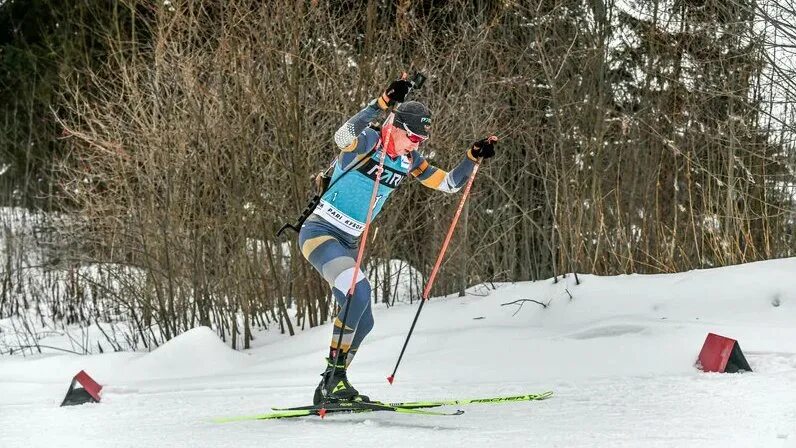 Лыжи. Лыжные ходы. Олимпийские чемпионы по лыжным гонкам.