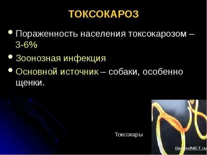 Токсокар чем лечить