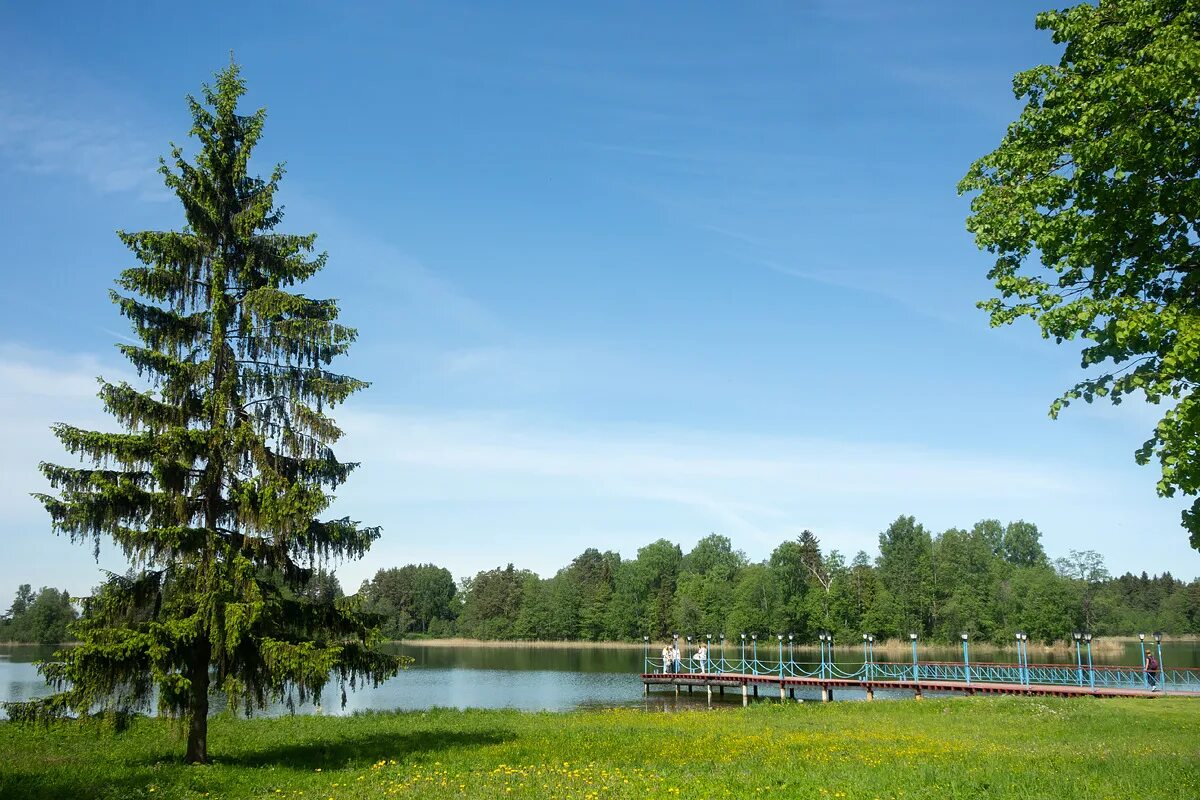 Валдай нижний новгород парк. Москва селигер на карте. Валдай зима праздник. Москва валдай. Великий новгород валдай маршрут.