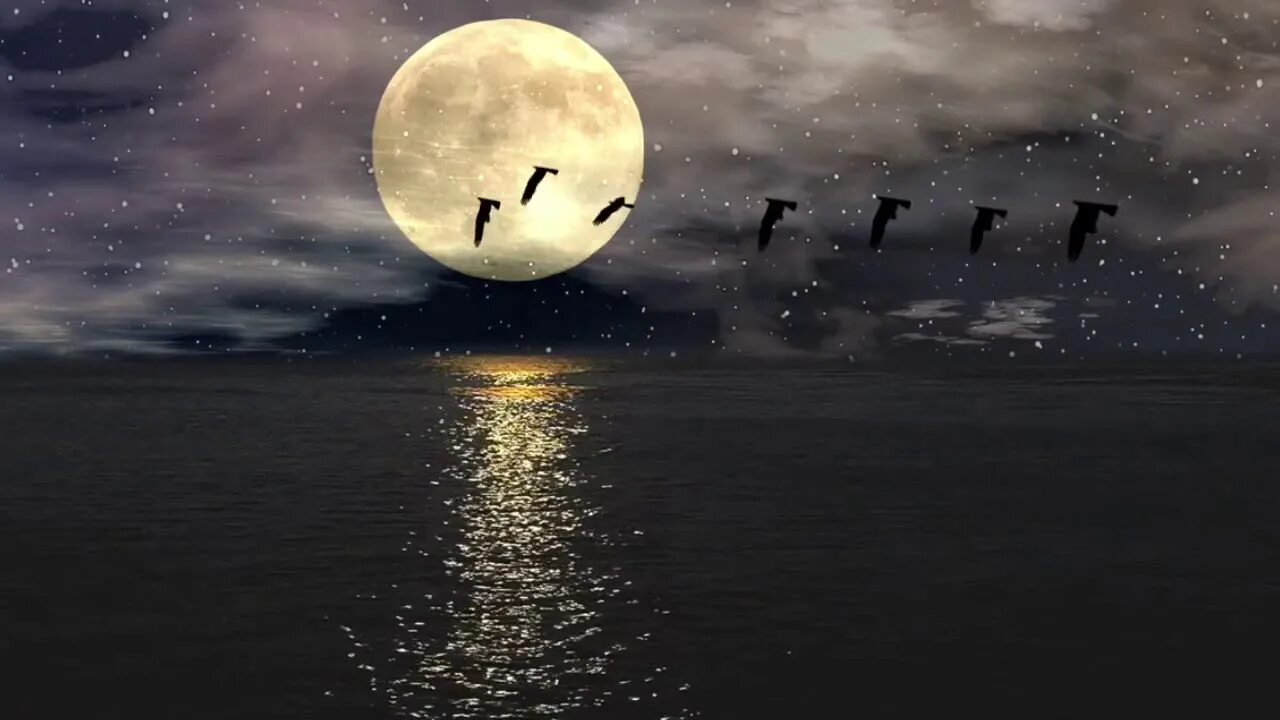 Лунная ночь. Отражение Луны в воде. Луна на небе. Ночь Луна звезды.