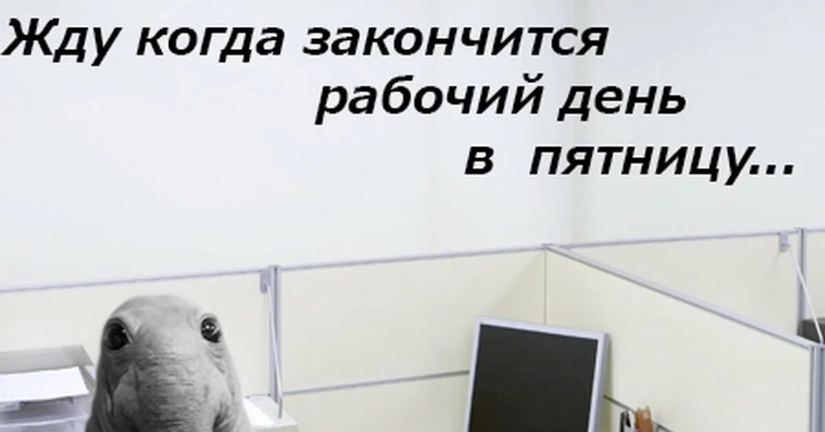 Ожидает завершения. Пятница рабочий день. Пятница рабочий день закончен. До конца рабочего дня. Пятница короткий рабочий день.