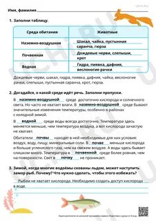 Свойства почвенной среды обитания