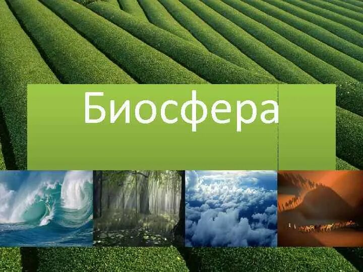 Рисунок на тему человек часть биосферы. Биосфера. Биосфера это в экологии. Биосфера презентация. Биосфера слайд.