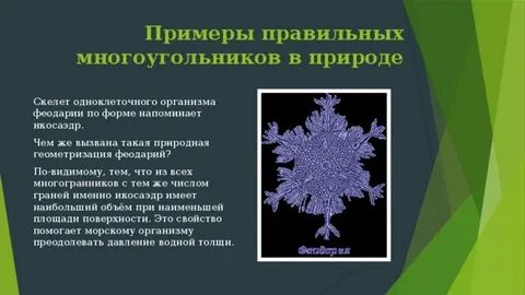 Правильные многоугольники в жизни
