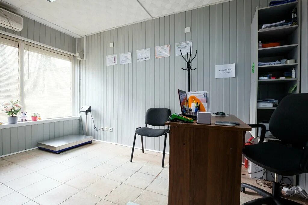 ветеринарная клиника мокрый нос ишимбай. ветеринарная клиника рядом со мной. мокрый нос зоотовары. ветеринарка рядом. проспект фрунзе 224 томск.