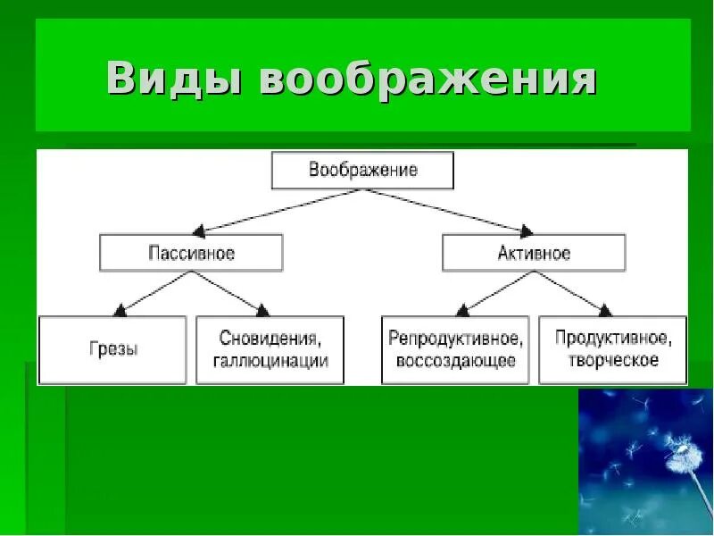 Виды воображения в психологии. Виды воображения схема. Виды активного воображения. Виды пассивного воображения. Норма воображения