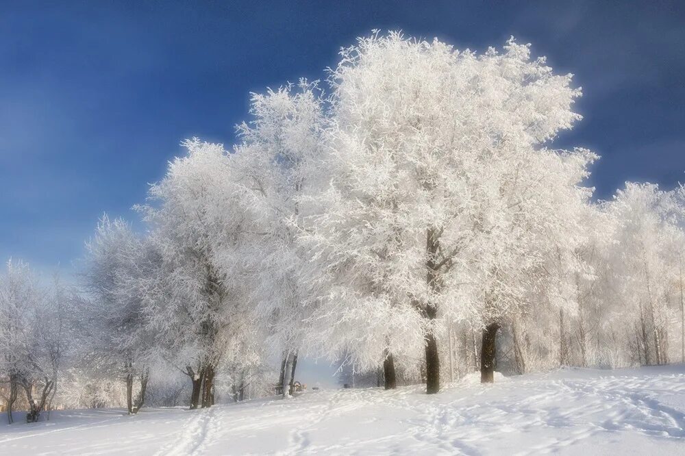 Солонешное зима. Какая она зима. Вегарус зимой. Какая она зима. Солонешное зима.