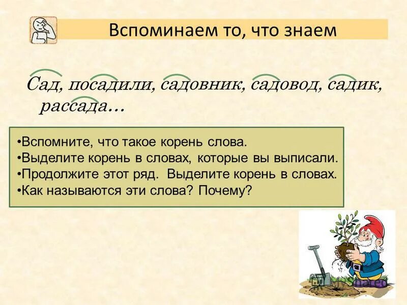 Расскажите о корне слова. Корень слова 3 класс. Выделить корень. Выдели корень в словах. Выделить корень в слове.