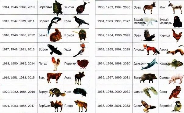Зверь какое число. Тотемное животное по году рождения зороастрийский. Тотемное животное 2002 года. 1997 Тотемное животное. Тотемное животное 1993 года.