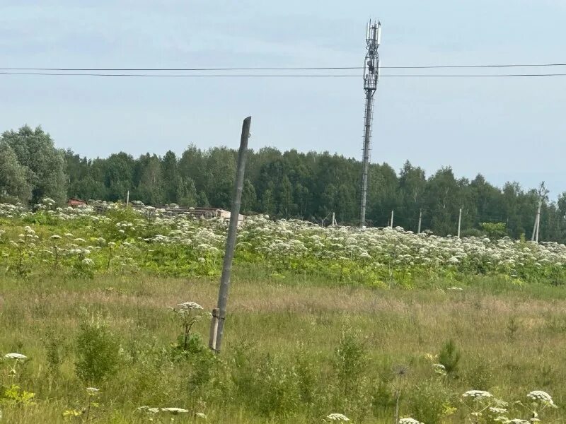 погода ува тукля удмуртия на 10. погода в удмуртии. поршур тукля увинский район. климат удмуртия республика ува температура по месяцам архив. погода ува тукля удмуртия на 10.