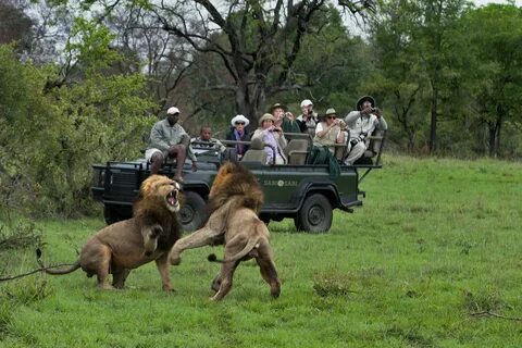 Wildlife tour