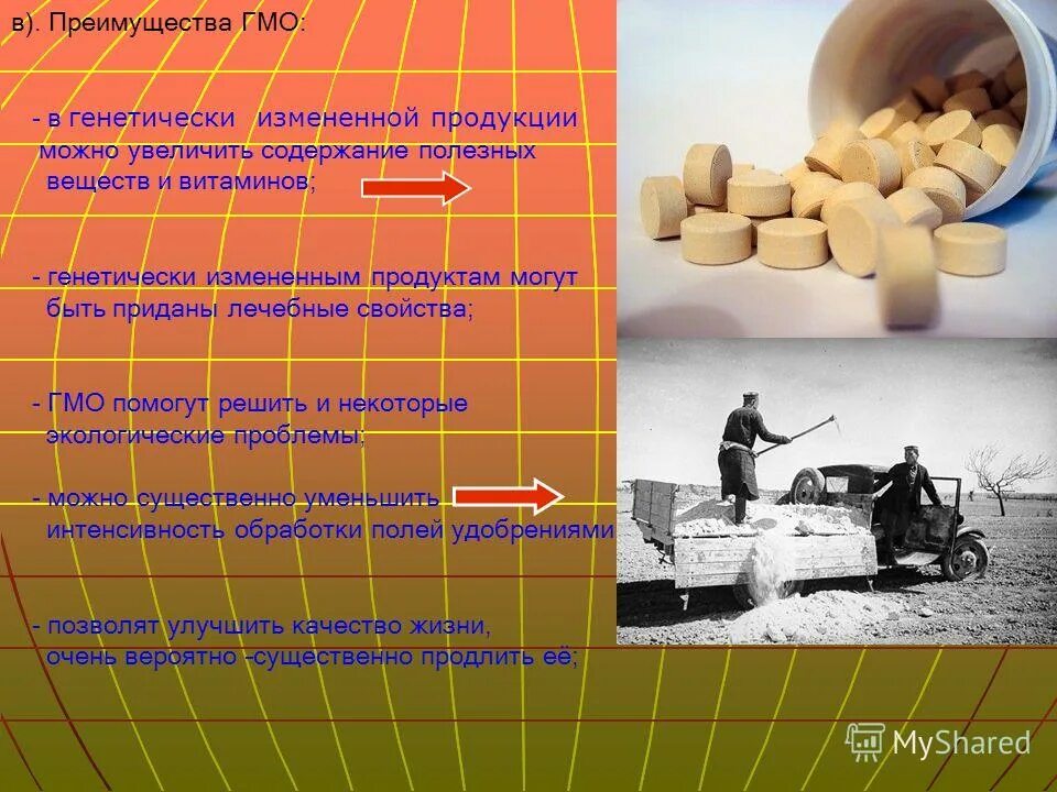 аргументы за гмо. преимущества гмо. минусы использования гмо. преимущества гмо. генетически модифицированных растений.
