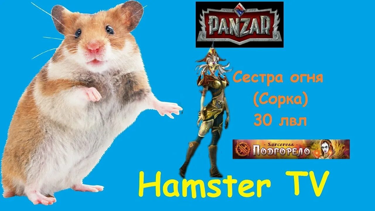 Lvl в hamster. Panzar сестра огня. Уровни хомяка. Лабиринт для хомяка. Lvl в hamster.