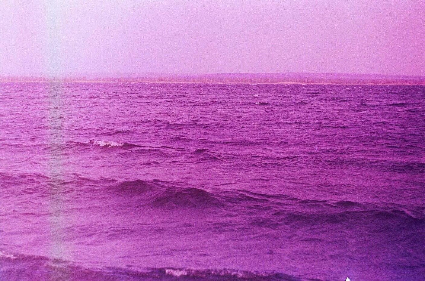 перпл бич. фиолетовое море. перпл бич 2023. фиолетовое море эстетика. фиолетовый закат.