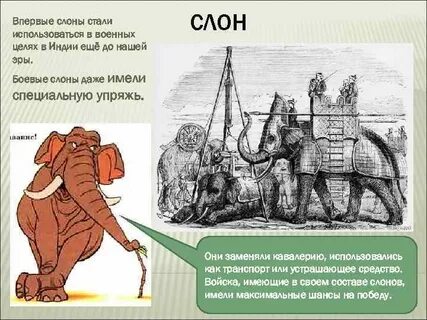 Став слон