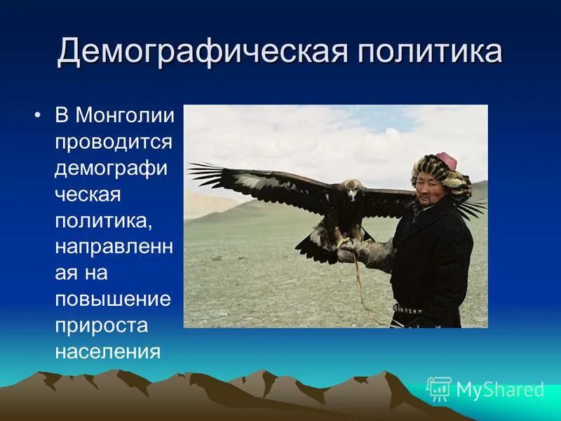 демографическая политика монголии. демографическая политика китая. демографическая политика монголии. демографическая политика монголии. половозрастная пирамида монголии.