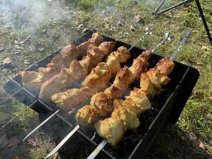 Шашлык 100