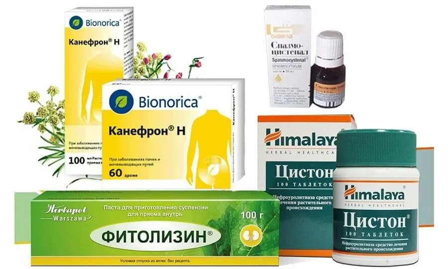 Можно ли мыться при цистите