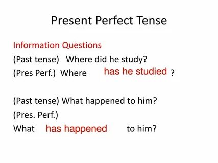 Present perfect questions examples