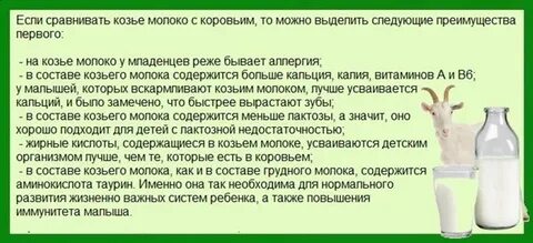 Можно ли кормить козьем молоком новорожденного