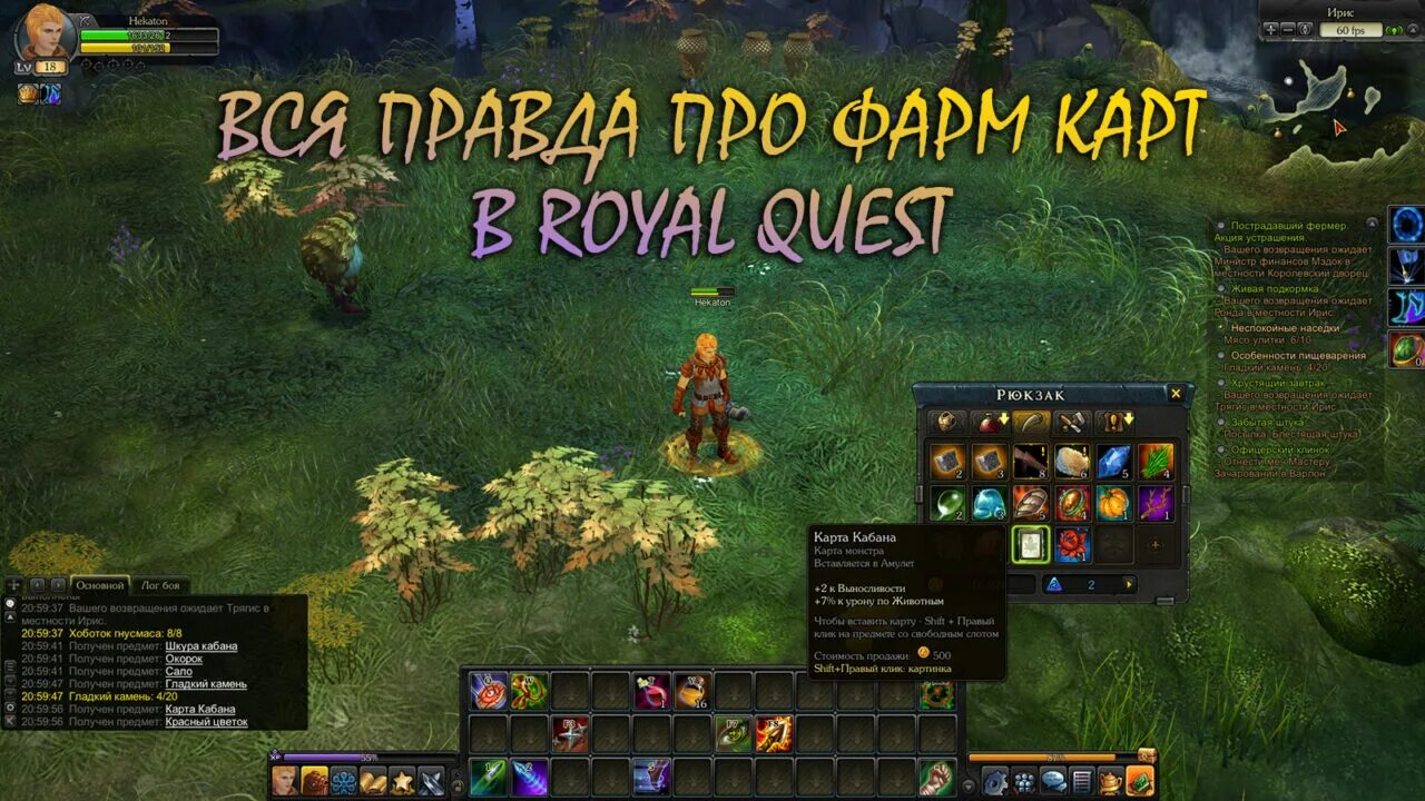 Роял квест уровень. Роял квест уровень. Бан в игре роял квест. Royal quest длань света. Роял квест волшебник.