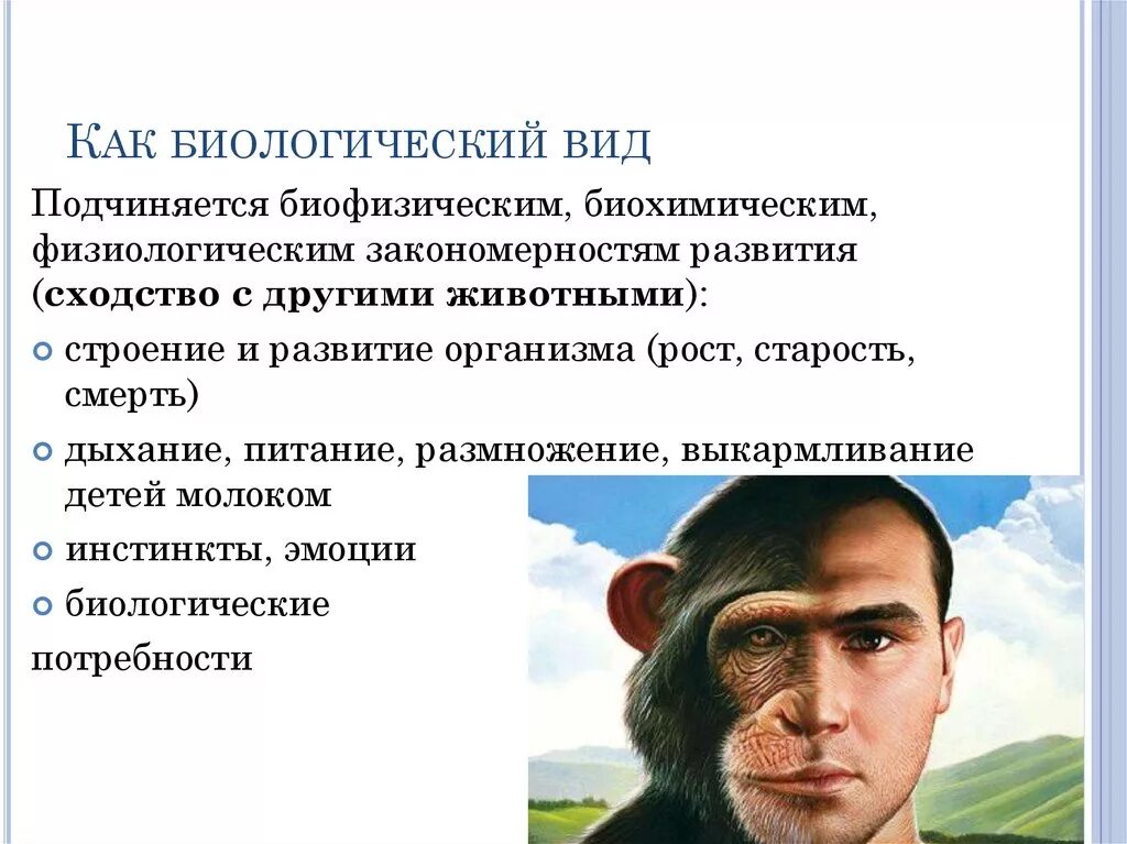 Человек нового типа является. Биологический вид. Человек как биологический вид. Человечество как биологический вид. Человек как биологический вид это в биологии.