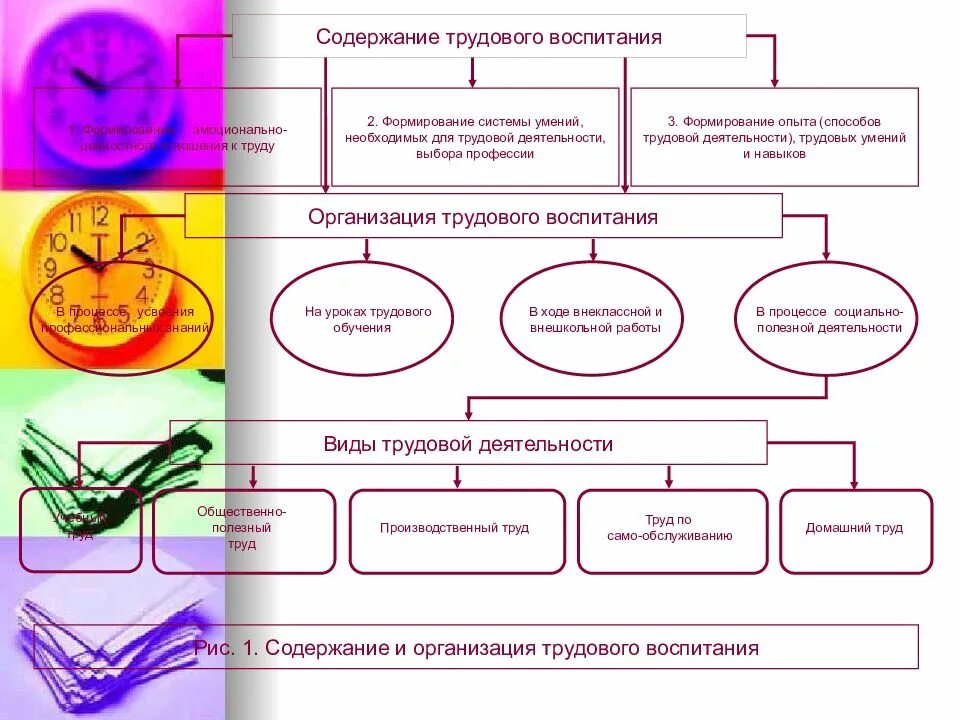 Что входит в систему развитий