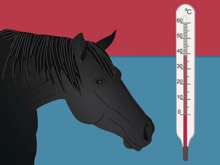 Влияние температуры среды обитания на животных. Частота дыхания при температуре. Темепратц тел животных. Адаптации пойкилотермных и гомойотермных организмов. Изменение температуры тела животного.