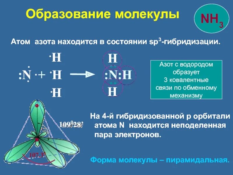 Какое водородное соединение образует азот. Тип гибридизации в молекуле nh3. sp3 гибридизация аммиака. sp3 гибридизация nh3. sp2 гибридизация азота.
