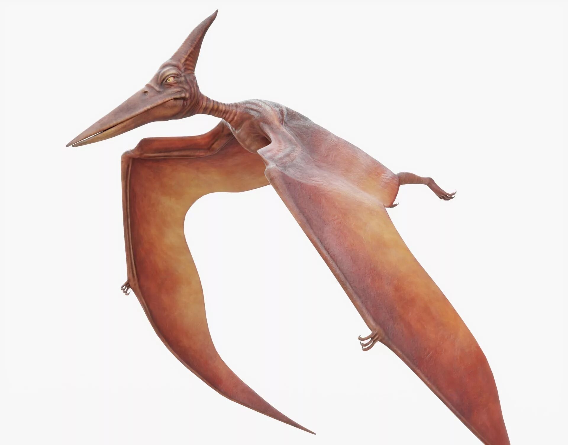 Exit code 1 pterodactyl