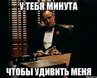 Ничему не удивляюсь