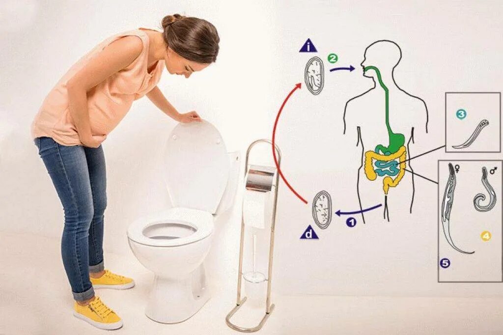 Запор первый триместр. Энтеробиоз у беременных.