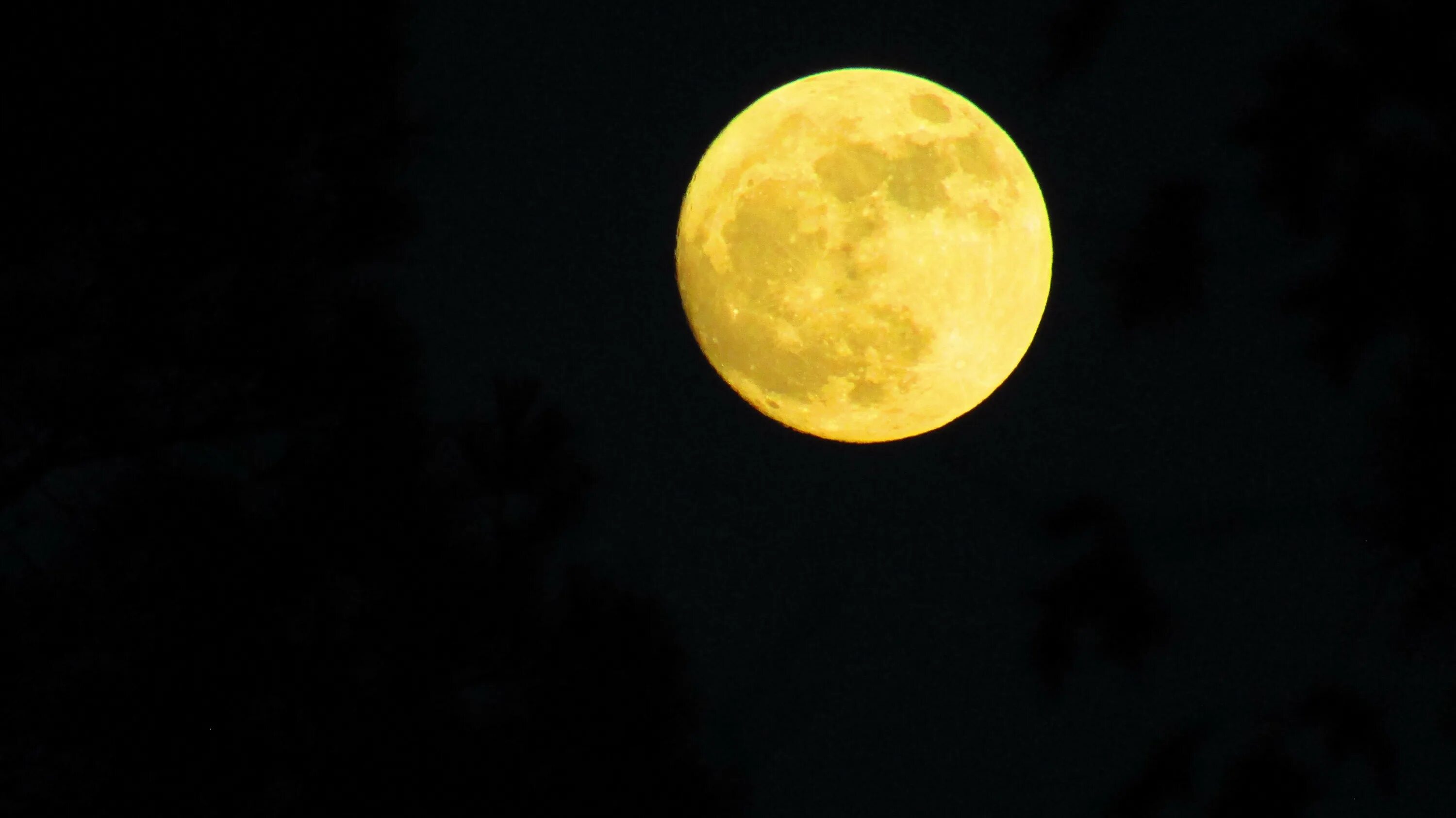 Supermoon Yellow 500. Желтая Луна. Оранжевая Луна. Огромная желтая Луна.