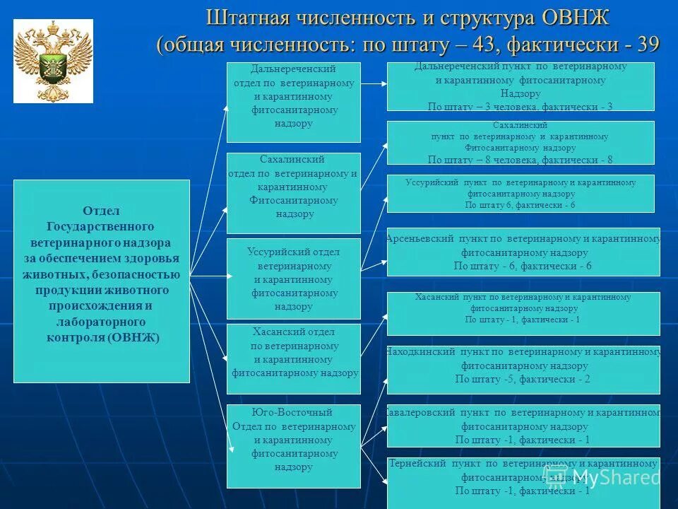 Ветеринарный надзор рф