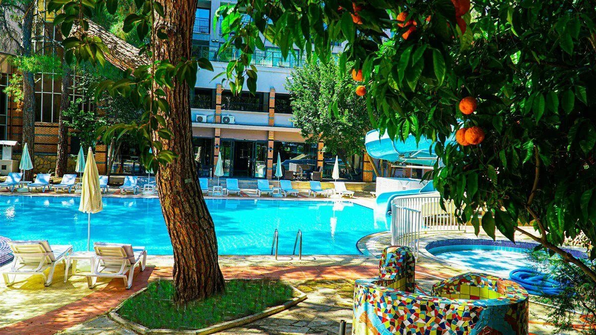 Festival nature hotel ex club. Festival nature hotel ex club