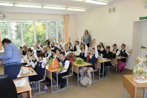 Гимназия курсы