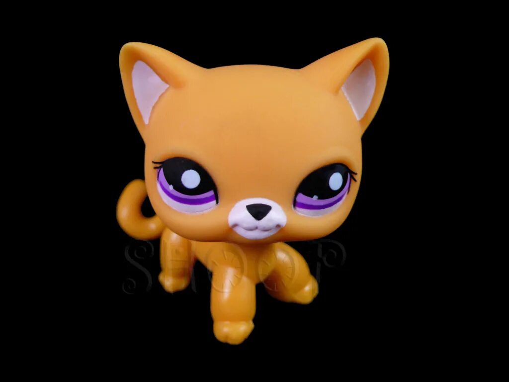 петы из пет симулятор. инвентарь с петами в пет симулятор. питомцы из пет симулятор х. пет симулятор. пет симулятор.