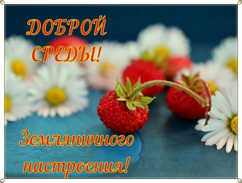 Позитивного летнего настроения. Доброго вторника и хорошего дня. с добрым утром вторника пожелания. классного дня и отличного настроения. позитивного настроения пожелания.