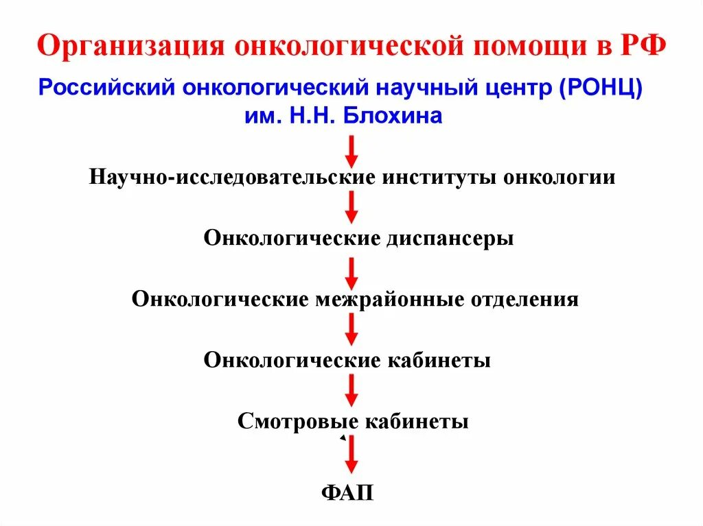 Организация онкологической службы в России. Принципы организации онкологической службы. Принципы организации онкологической помощи. Основное структурное звено онкологической службы. Организации помогающие в россии