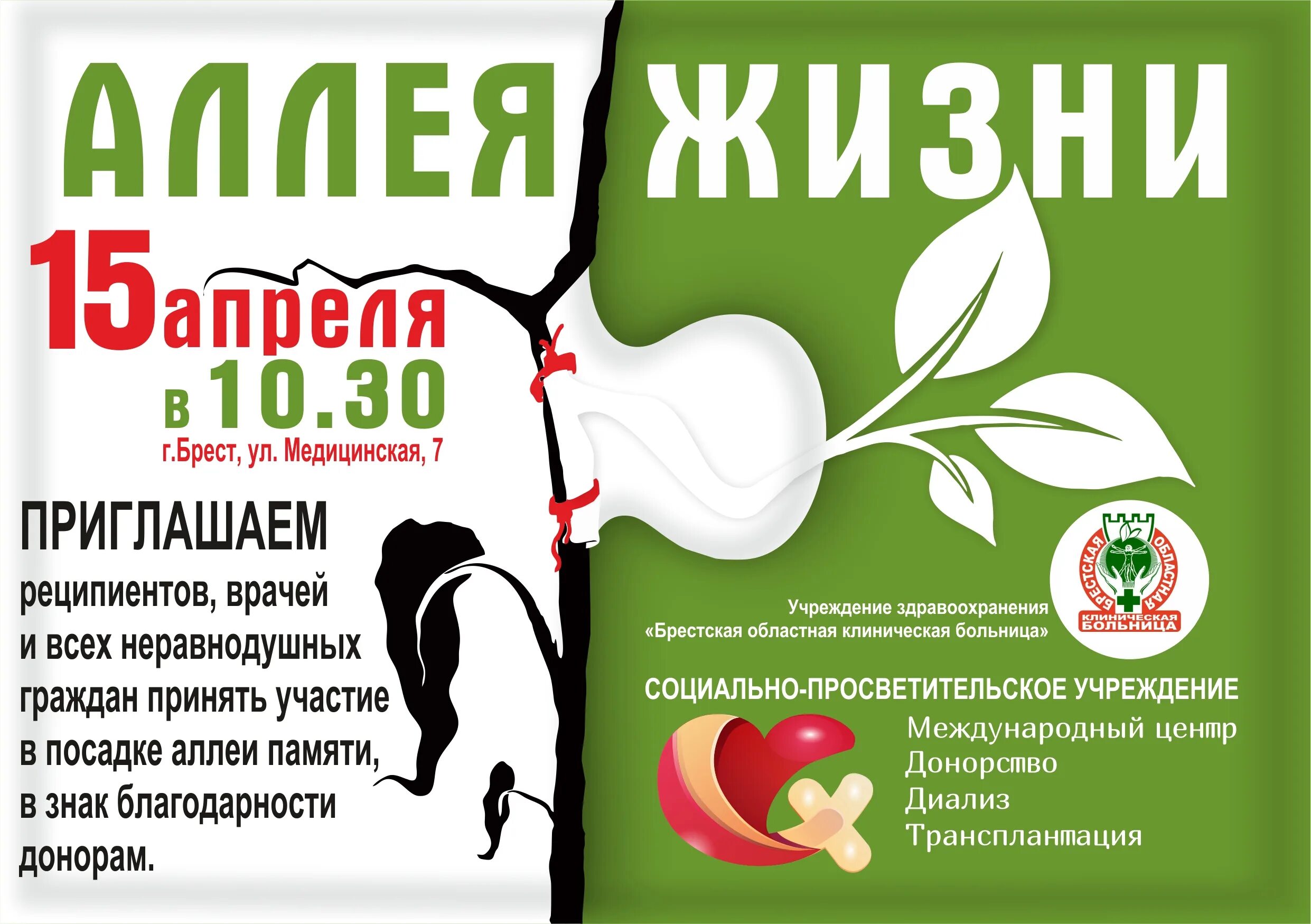 аллея жизни в москве. аллея жизни фото. аллея жизни. аллея жизни первый мед. парк сокольники "липовая аллея".