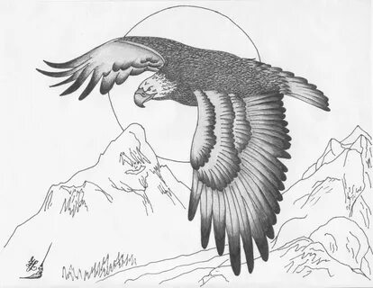 Рисунок коршуна