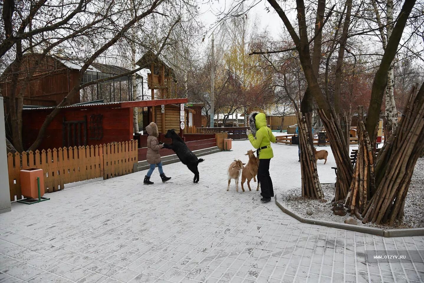 Капибара в лимпопо нижний новгород. Лимпопо нижний новгород. Лимпопо нижний зимой. Нижегородский зоопарк лимпопо. Лимпопо нижний зимой.