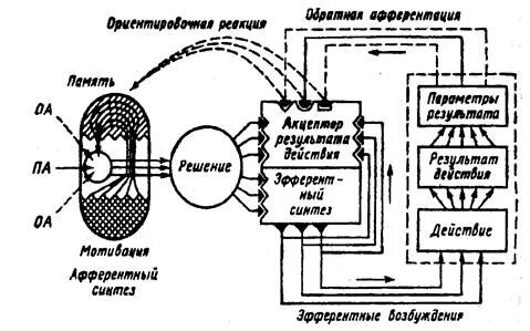 Система поведенческого акта