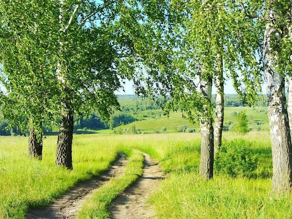 Русские на природе часть. Просторы пейзаж родные просторы. Родные просторы Русь. Сысерть поселок родные просторы. Родные просторы природа России.