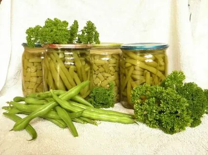 Заготовки на зиму стручковой фасоли лучшие рецепты