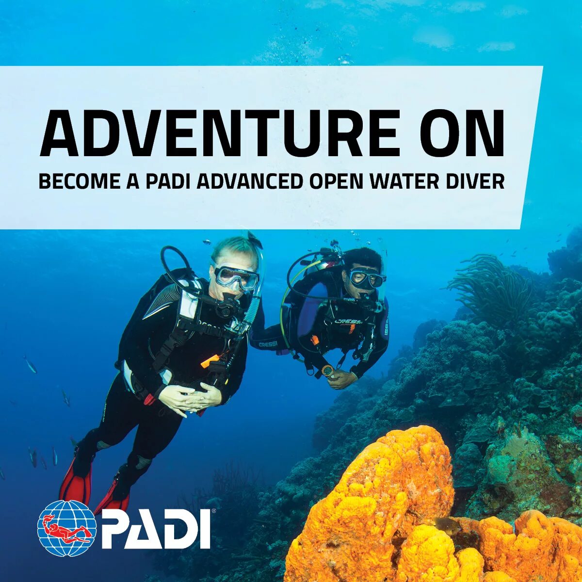 Padi open. Padi дайвинг. Сертификат Padi open Water Diver. Padi Advanced open Water Diver. Сертификат Пади дайвинг.