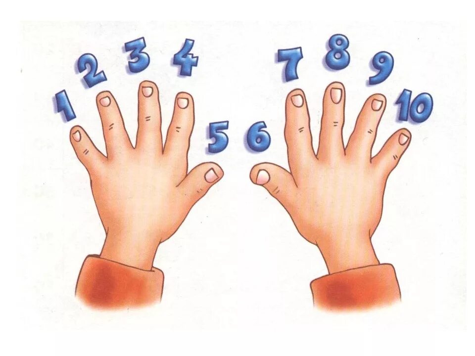 Раз два три люблю деньги умножать. Счет на пальцах. Счёт на пальцах в картинках. Счёт на пальцах для дошкольников. Счет на руках.