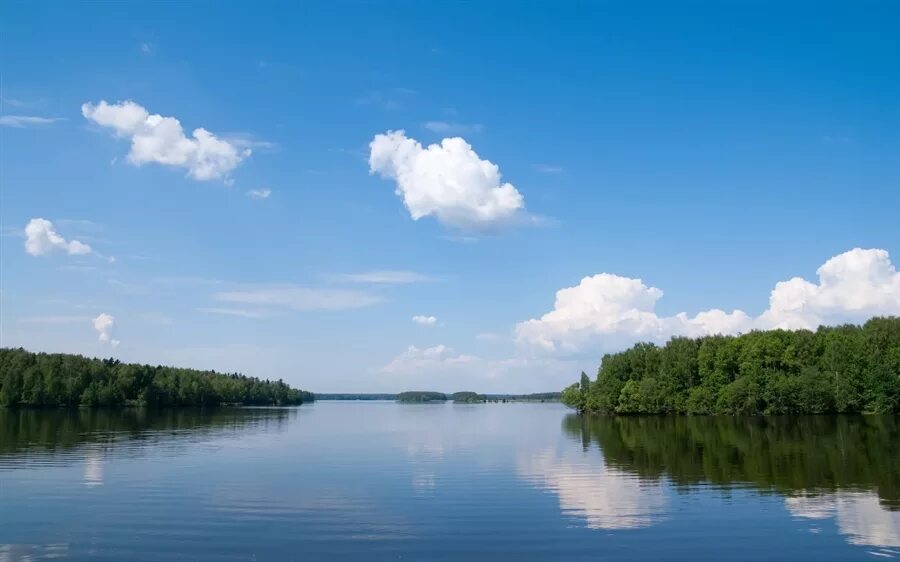 Пестово водохранилище. Учинское водохранилище Тишково. Пестовское водохранилище Московская область. Пестово Учинское водохранилище. Естественные водные объекты московской области